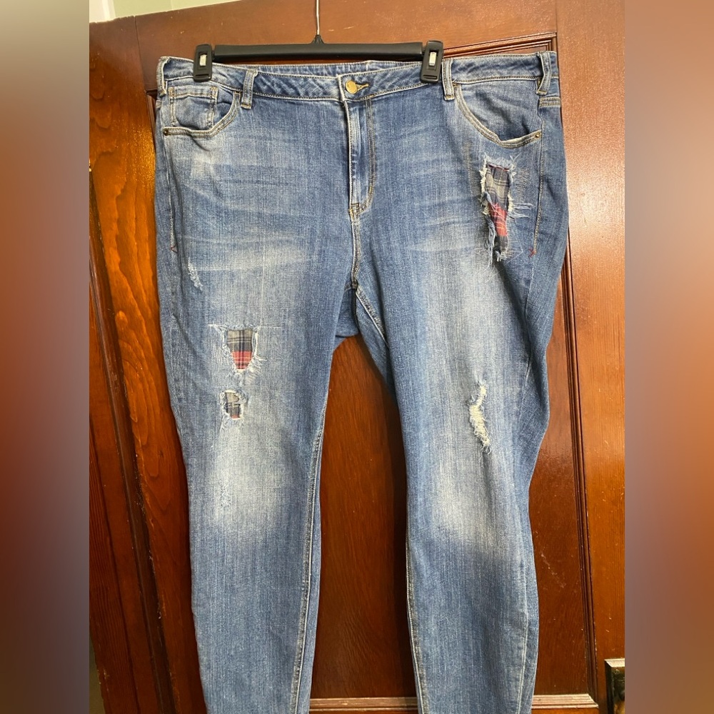 Lane Bryant Skinny Jeans